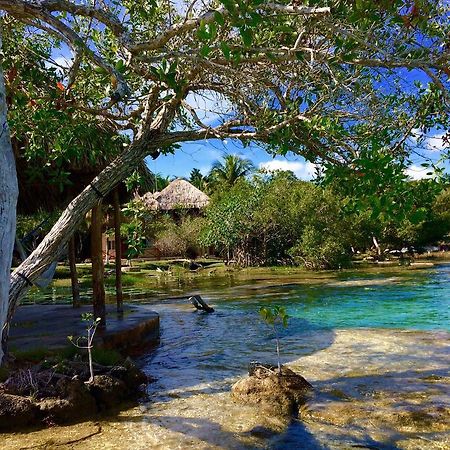 Casa Caracol Hotel Bacalar Luaran gambar