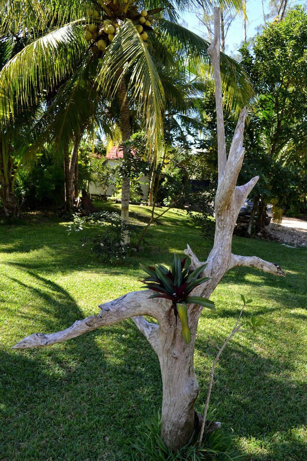 Casa Caracol Hotel Bacalar Luaran gambar